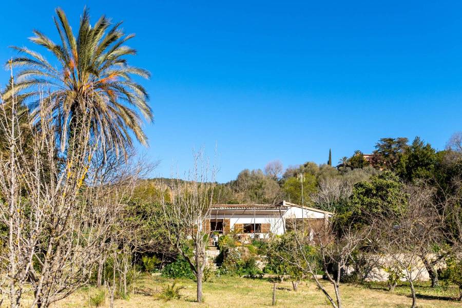 Property with detached house in a top location