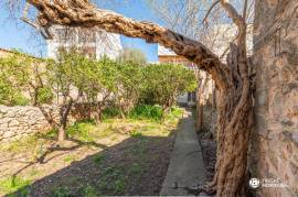 House to renovate with large garden