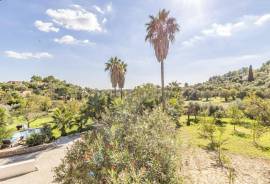 Property with guest house