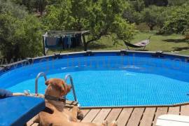 Property with guest house