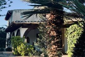 Authentisches mallorquinisches Landhaus in Binissalem Authentisches mallorquinisches Landhaus in Binissalem